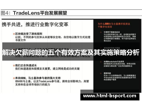 解决欠薪问题的五个有效方案及其实施策略分析 解决欠薪问题的五个有效方案及其实施策略分析