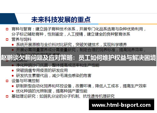 赵鹏谈欠薪问题及应对策略：员工如何维护权益与解决困境